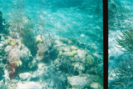 Bacalar Chico Coral10